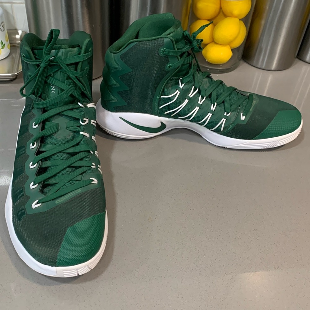 Nike Zoom Hyperdunk 2016 TB Gorge Green